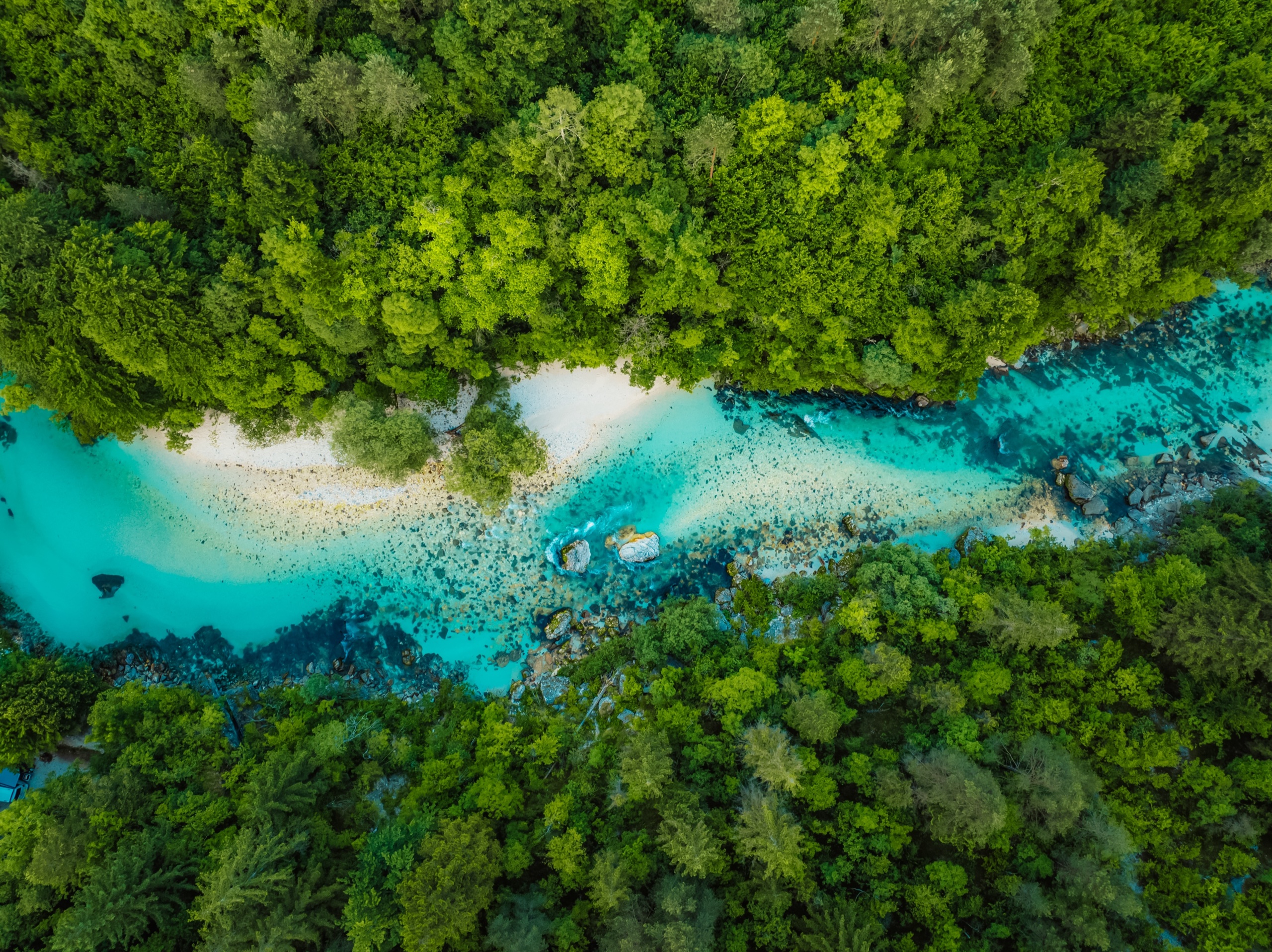 Aerial view of the emerald Soča River winding through forest